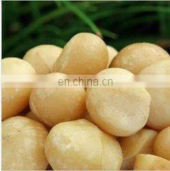 Automatic almond cracker machine palm kernel cracker