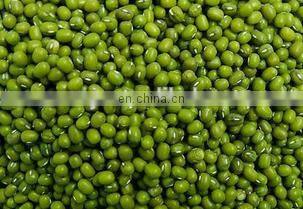 Maize grading machine / Corn cleaner / Cumin seed cleaning machine