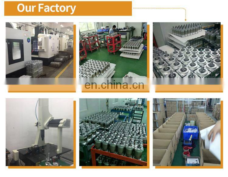 Hot-sale Dual shaft planetary gearbox