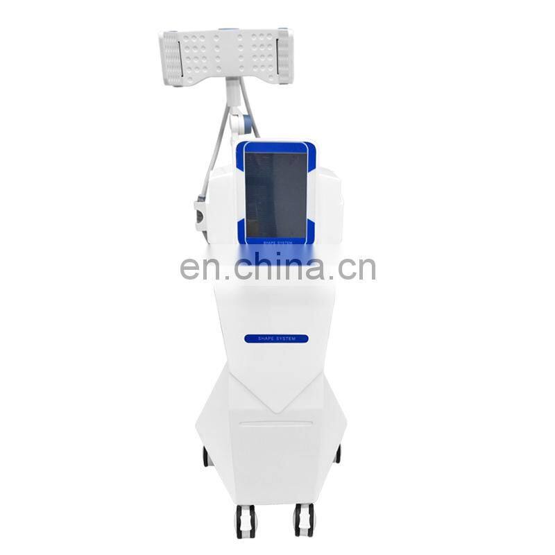 Renlang Tuning Technique RF Fat Dissolution Body Slimming Machine For Sale