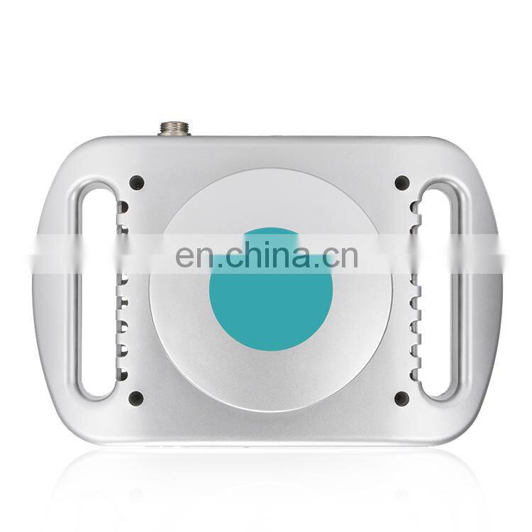 Home Portable Belly Reduction Fat Lifting Firming Slimming Machine / Frozen Shaping Weight Loss Instrument