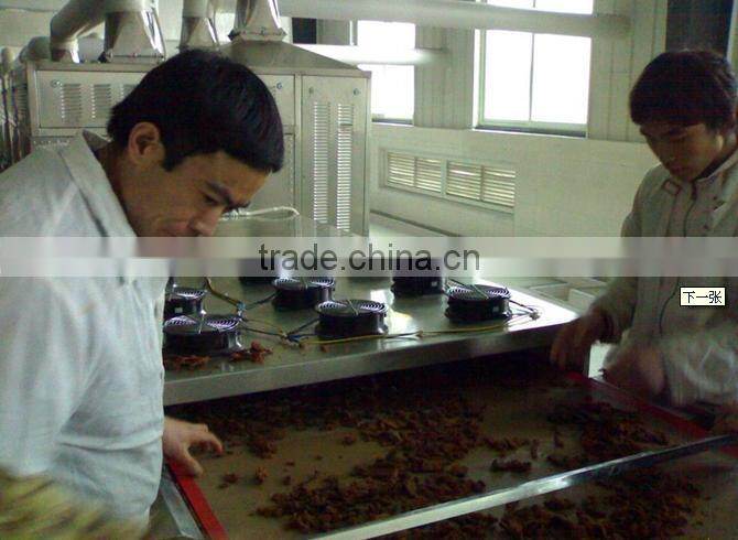 automatic high quantity Microwave vegetable drying equipment