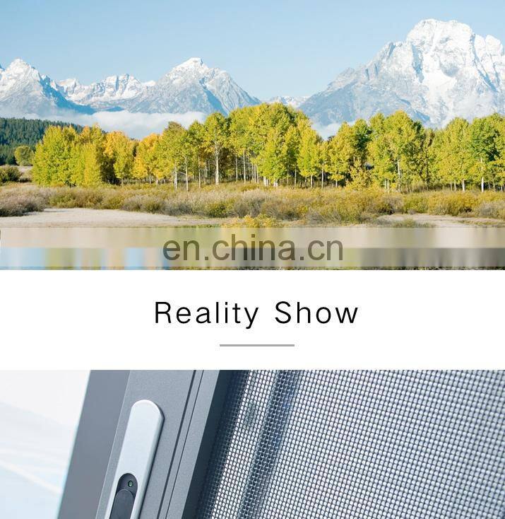 ROGENILAN 100 series double glazed aluminum sliding window with flyscreen