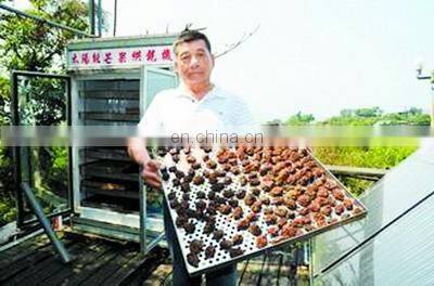 Grain product making machine Hot sale noodle, vegetable, herb tea flower fish machine solar drying machine / solar dryer