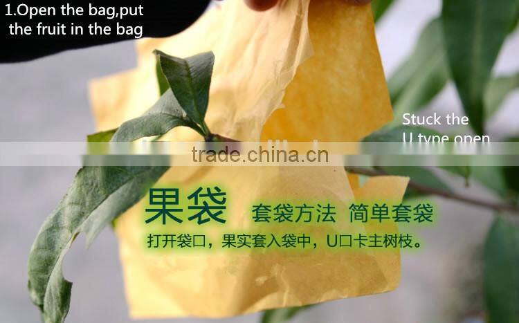 Fruit cover peach bag/kiwi fruit bag/mango bag