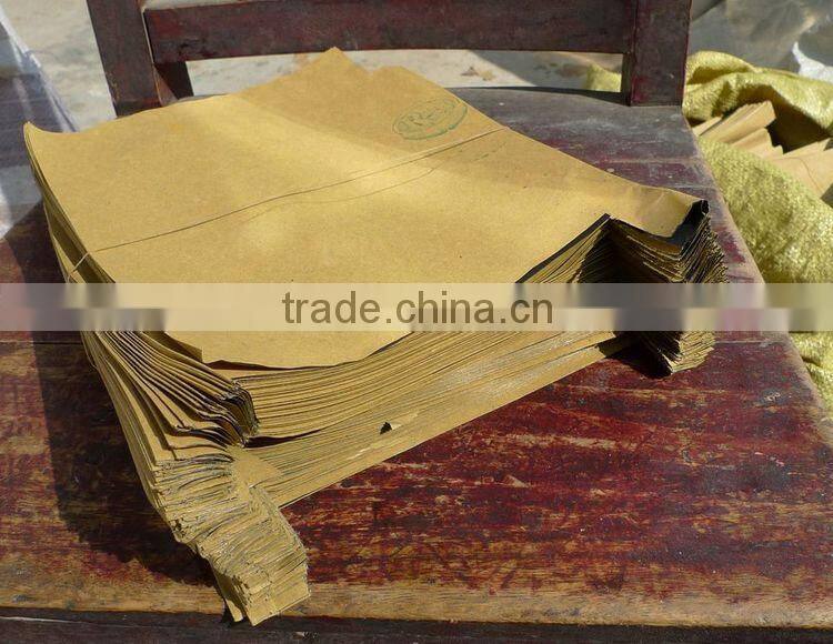 Fruit protection bag mango