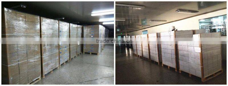 2000 rounds paintballs bullet 0.68 caliber