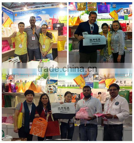 Die Cut Plastic Bag,LDPE Shopping Plastic Bags Cheap Bio-Degradable Plastic Shopping Bag