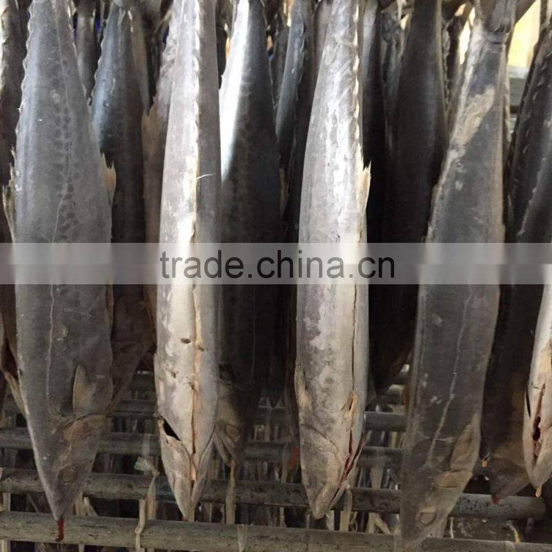 2015 hung frozen spanish mackerel whole gutted