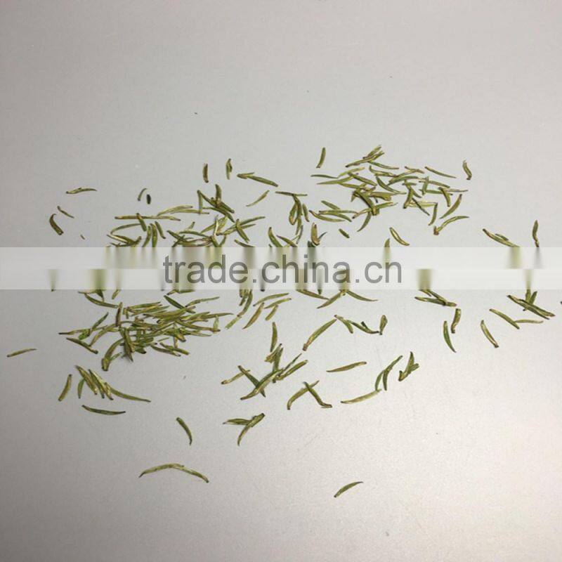 china best green tea BAN DAO XIAN MING brank,green tea price per kg