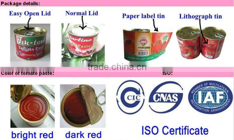 export Food & Beverages products,2200gram tomato paste for guinea
