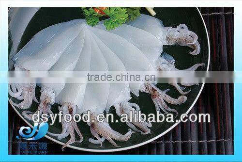various frozen squid product market