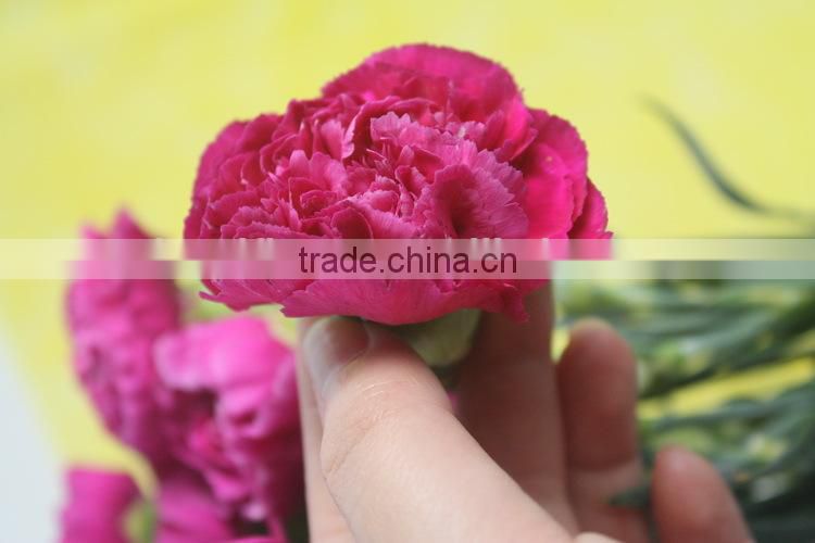 Various promotional flower arrangements fresh cut flower carnation