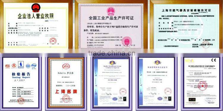 CE CERT 16-40kw European style gas boiler high efficiency natural gas LPG LNG available