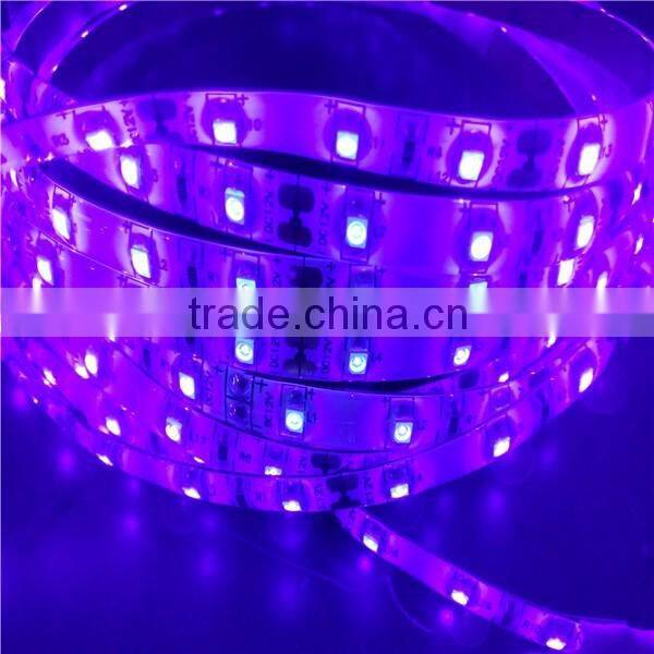 HOT SALE High brightness DC12V 60LEDS/M UV LED strip light LED FLEXIBLE light smd5050