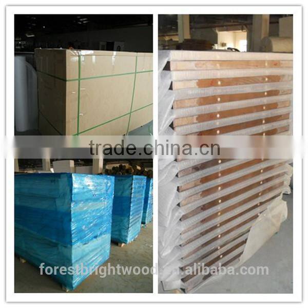 Artistic Partition Wall Wooden Sliding Door , Dressing Room Sliding Door