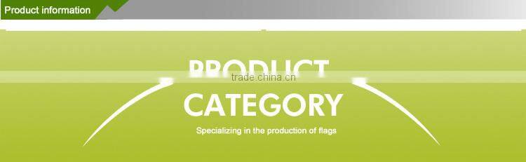 High Quality factory directly and lovely miniature wall flags