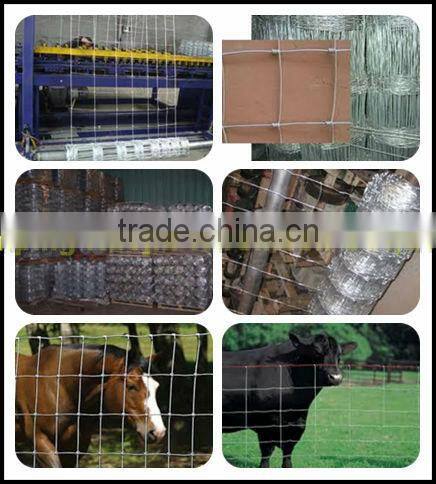 galvanized farm fencing ,field fence(anping manufacturerISO9001)