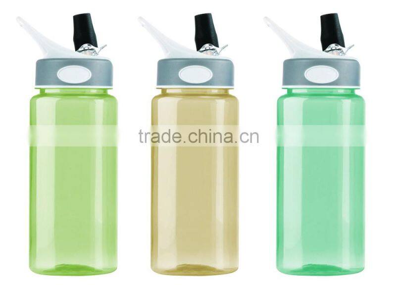 Fashion PC Bottle With Straw Best Selling 600ML