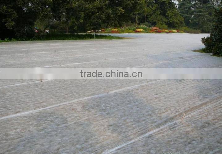 UV treatment pp spunbond nonwoven fabric