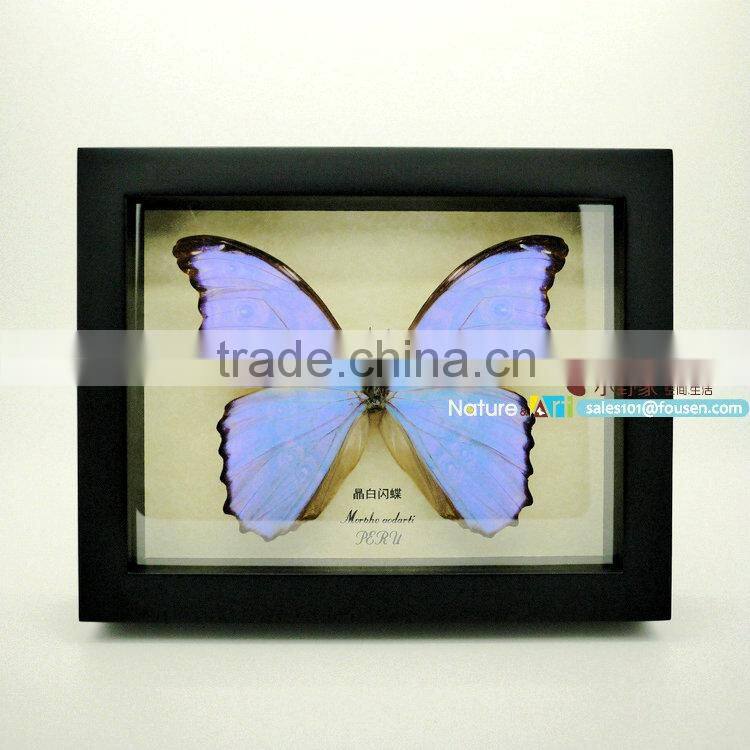 FOUSEN(017) Nature& Art preserved insect mounted in glasses frame