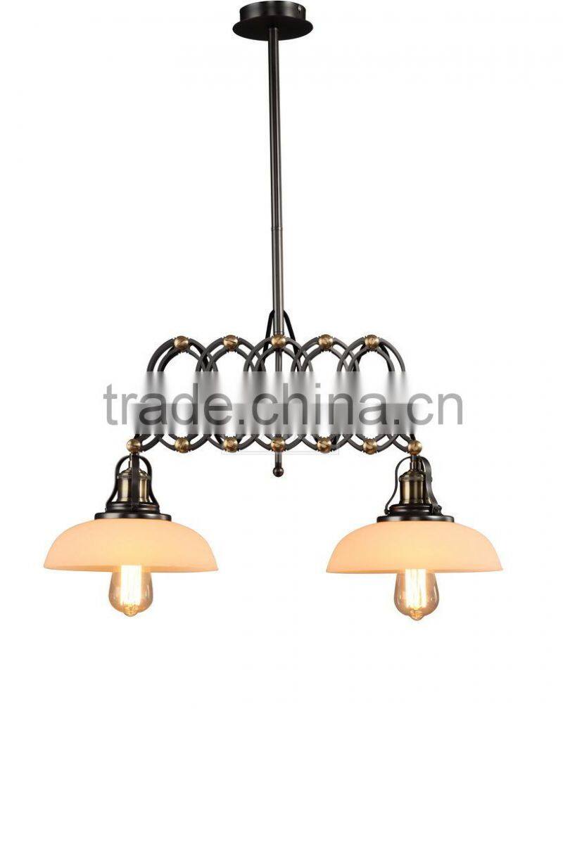 Machine Manufacturer Modernist Ceiling Light Double Light Adjustable Arm Hanging Light