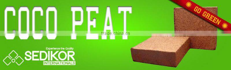 Unwashed coco peat blocks for horse