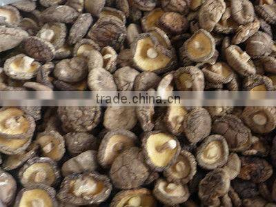 Chinese new crop driedshiitake mushroom flake