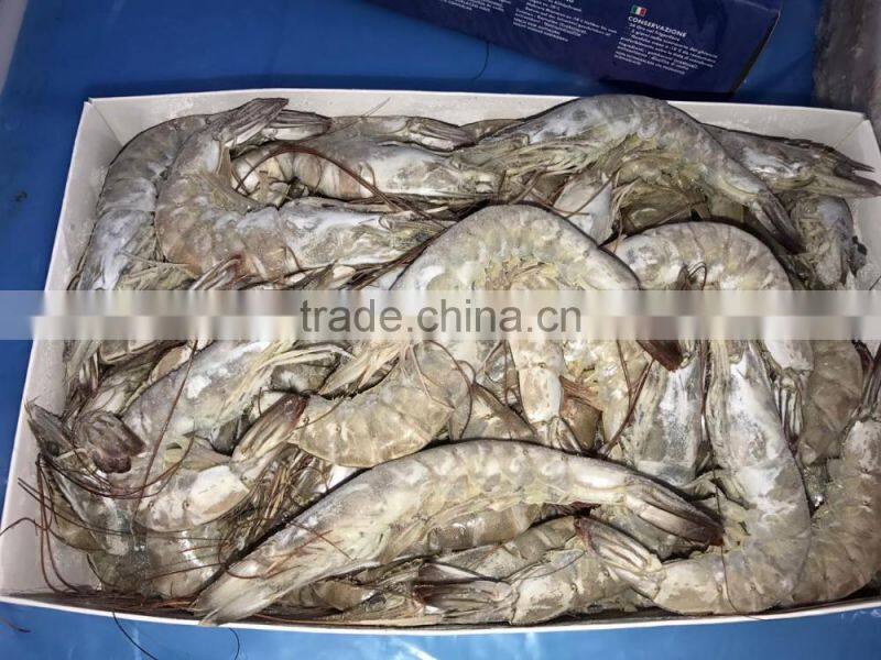 Frozen vannamei shrimp price
