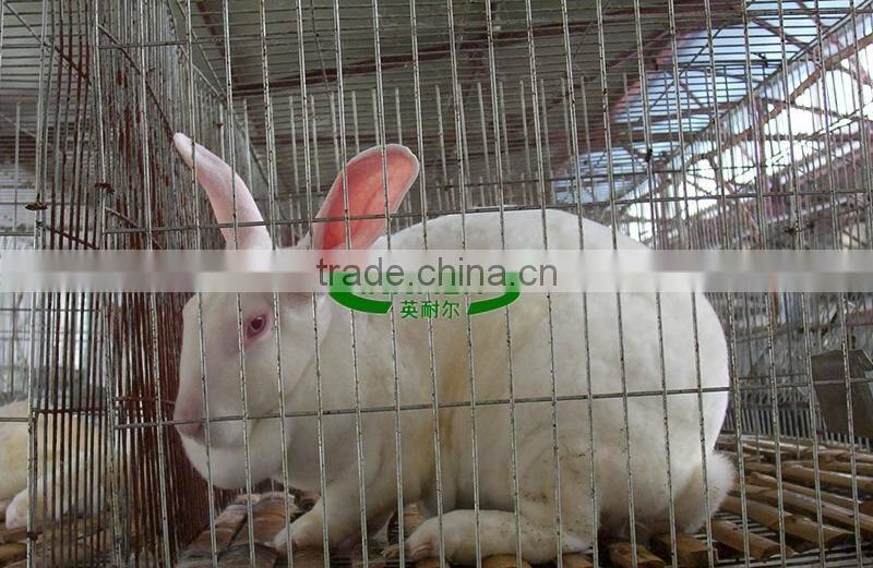 Factory Direct Sale on Alibaba 2m 3 Tier Cage Used for Rabbit