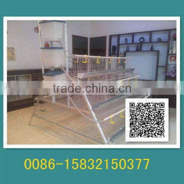 chicken brooder wire mesh cage