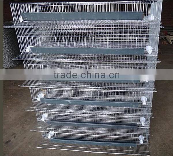 6 Tiers Layer Quail Cages For Sale