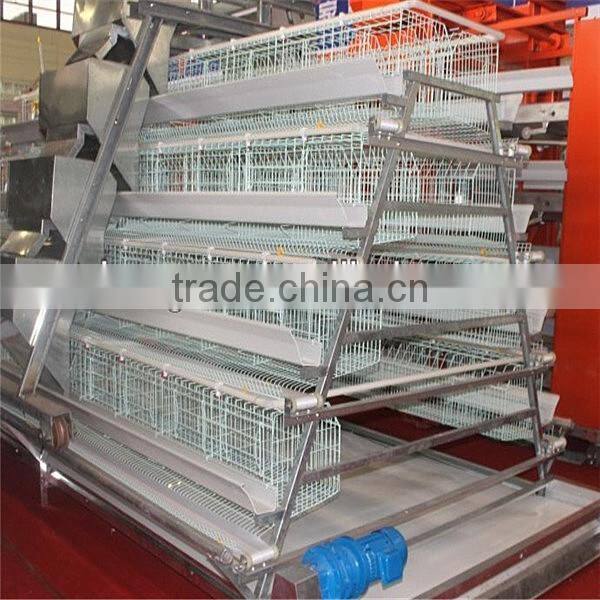 Automatic design layer chicken cage used poultry farming equipment