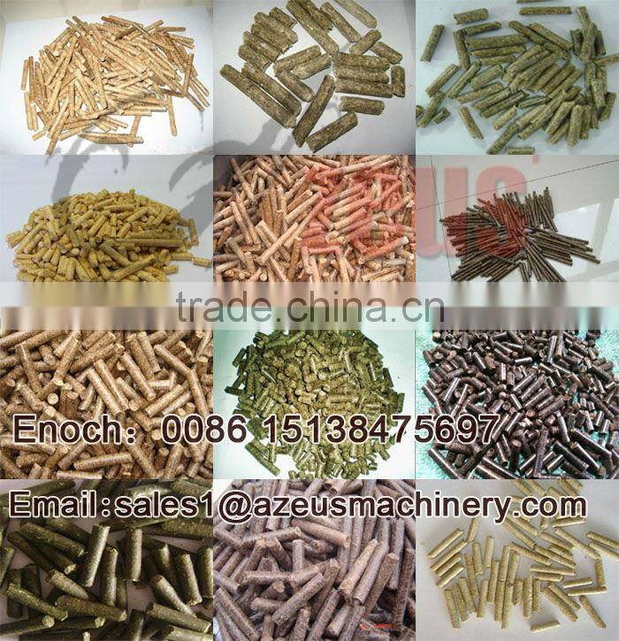 China Famous Wood Pellet Process Plant Manufacture