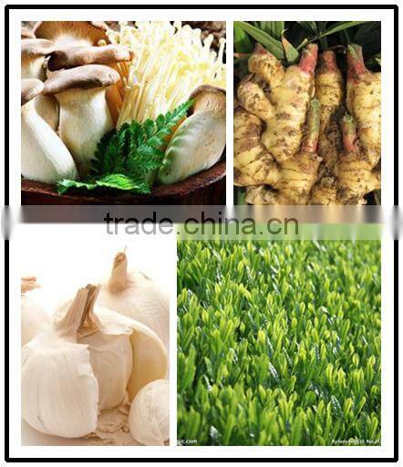 Beer Yeast powder fertilizer grade