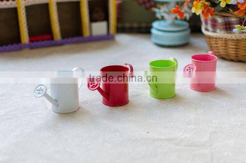 cheap small indoor 2 or 2.5 inches white metal flower watering can mini planter for succulents