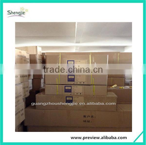 SJ12001162 Name potted decorative foliage plant plastic plant indoor