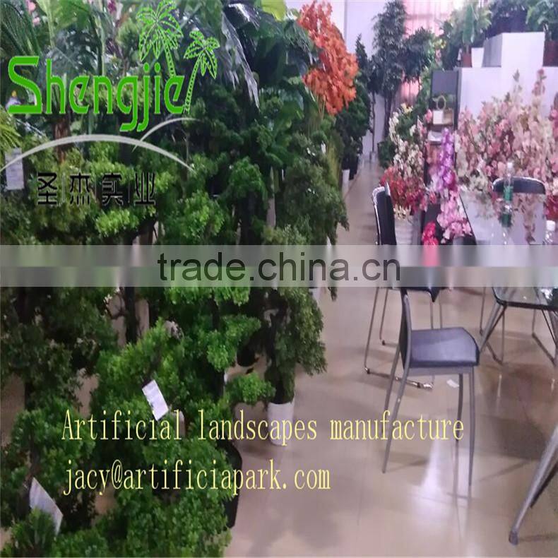 coconut trees pyrene