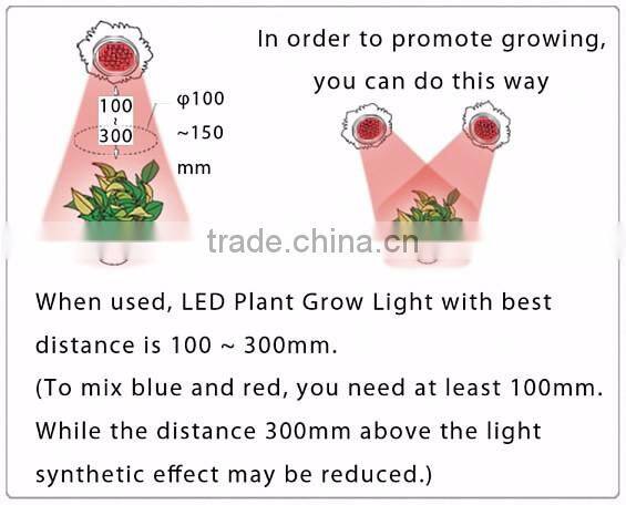 3w Desktop LED Grow Light for Indoor Flower Pot