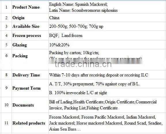 Frozen Spanish Mackerel Fish for sale