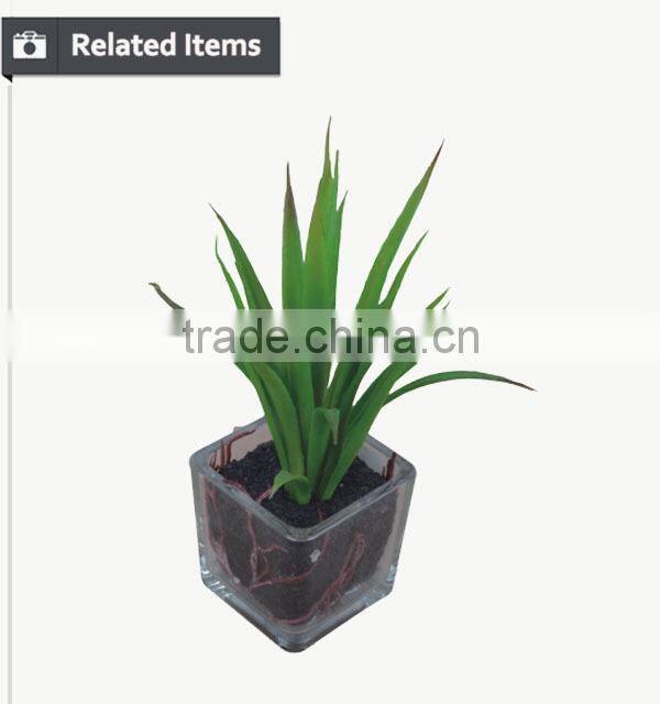 Customized design sweet desert rose for table decoration