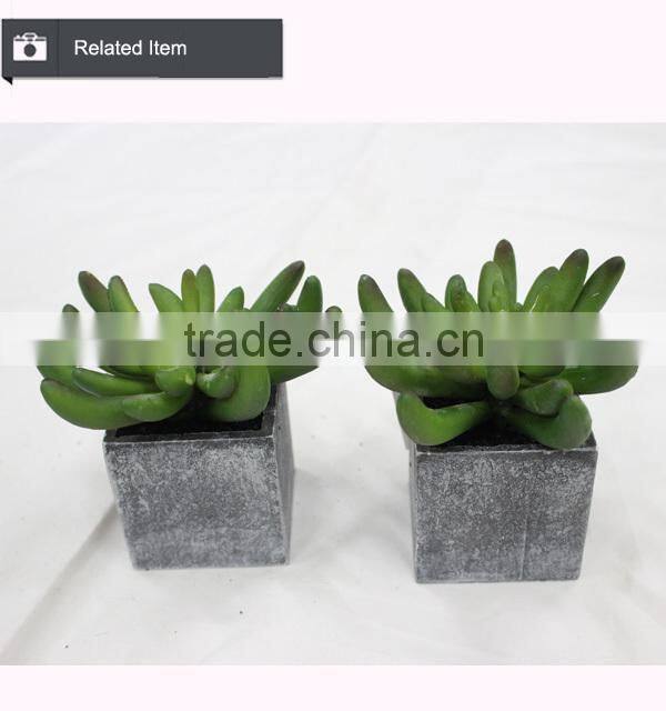 Artificial mini aloe little plants succulents plants artificial mini succulents