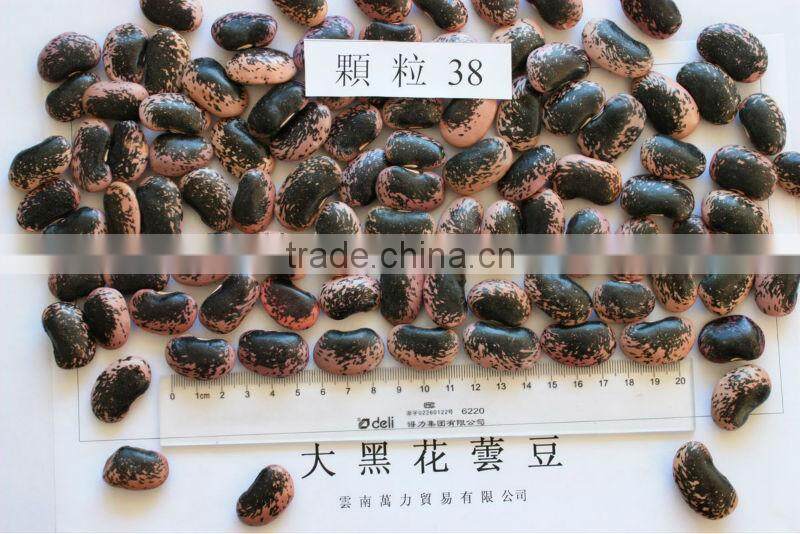 Large Black Speckled Kidney Beans, max. 45/100gr
