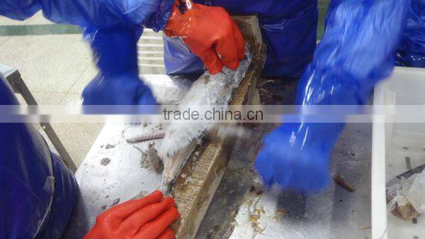Best Quality Seafood Product Frozen Spanish Mackerel Fillet