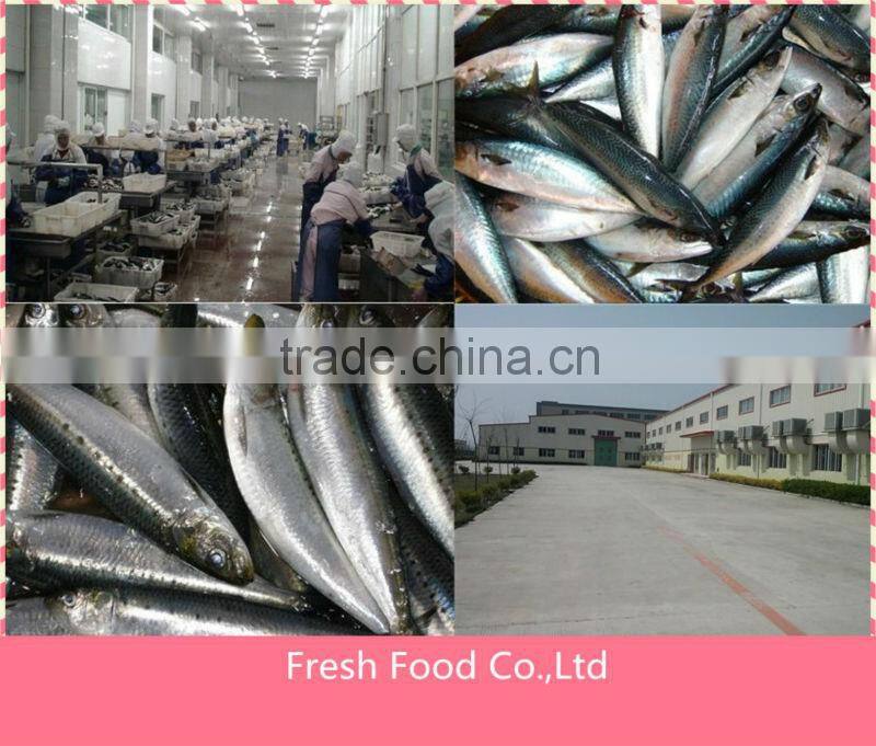 Bulk export preserved canned products canned fish