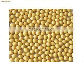 big output Protein Food Machinery Meiteng machine my skype:lisatanghong