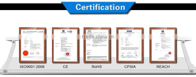 Led Blinking Flower Necklace From Hawaii