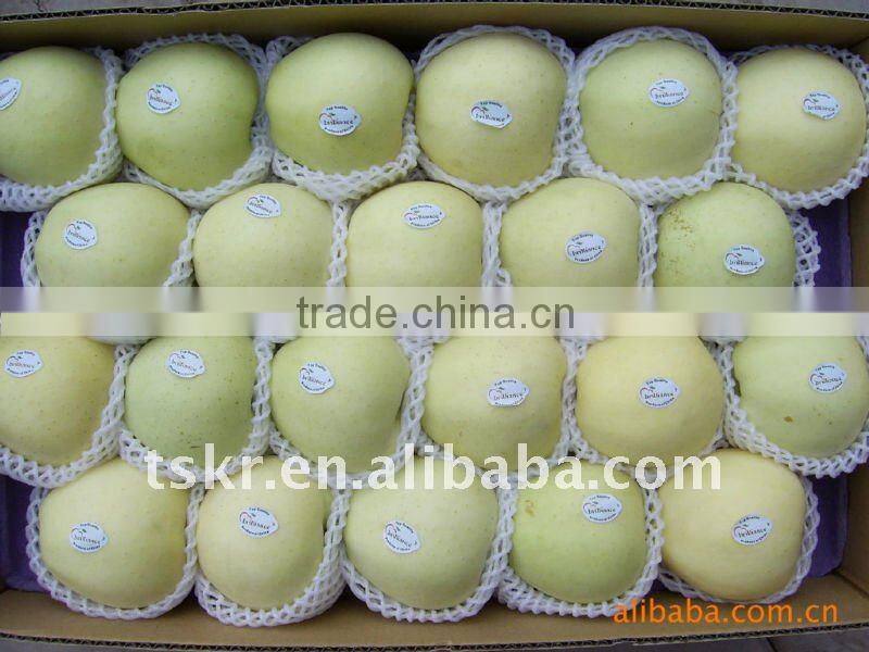 Good yellow golden delicious apples