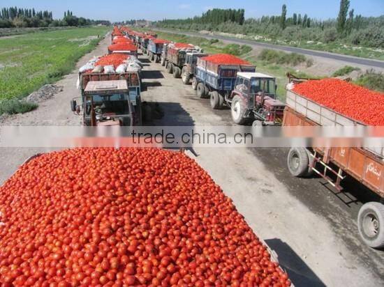 fruit juice production line