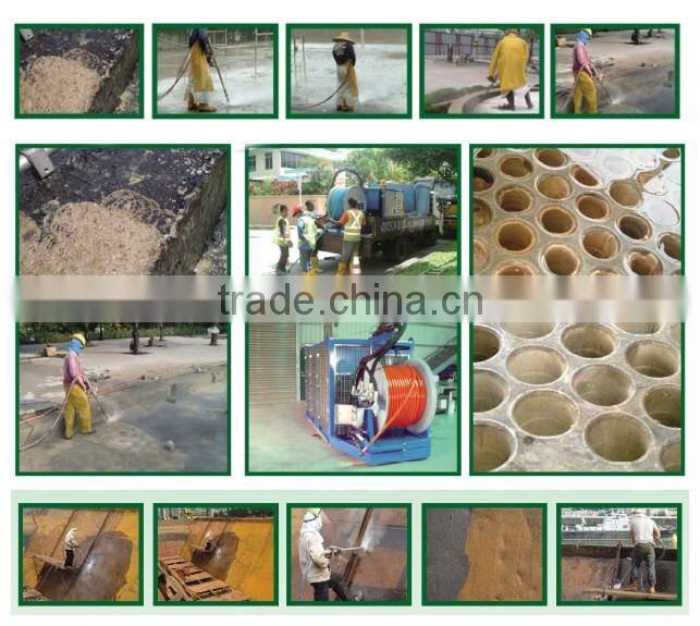 Diesel engine high pressure water cleaner